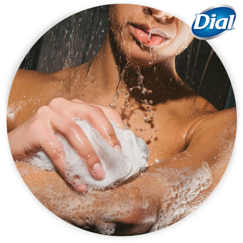 Dial Body Wash, Spring Water, Hydrating, 16 fl oz (473 ml) - Image 4